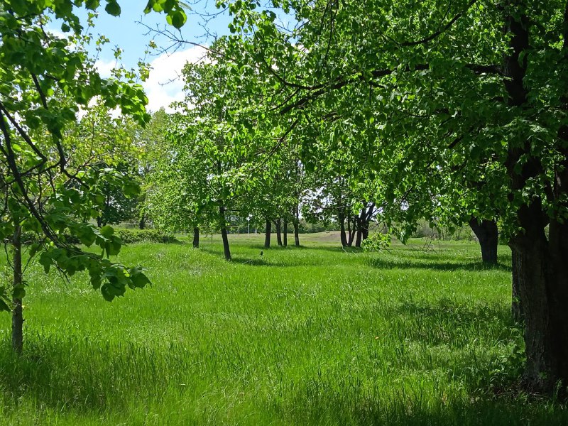 Головне фото проєкту.jpg Головне фото проєкту.jpg