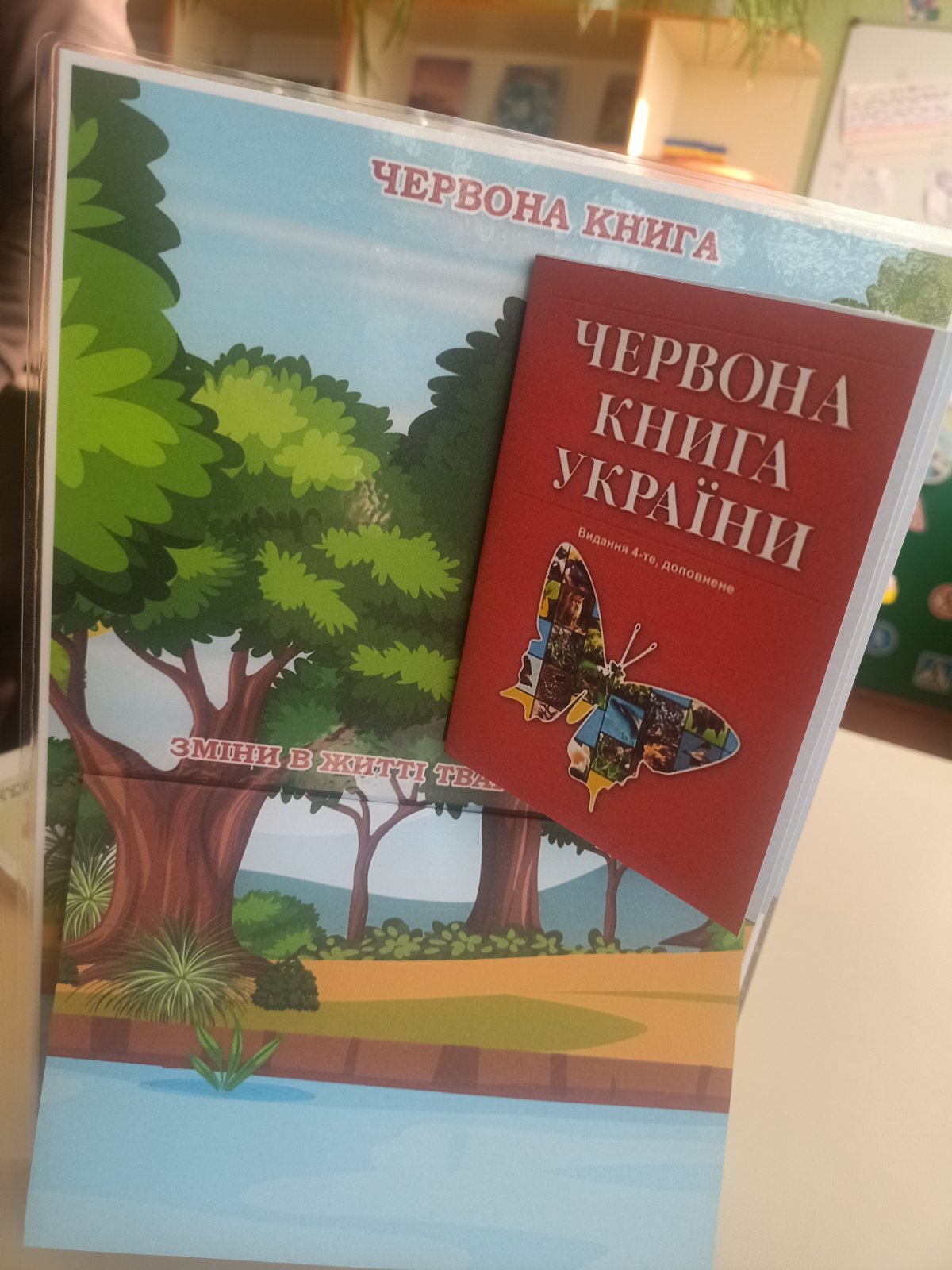 1705916111216.jpg 1705916111216.jpg