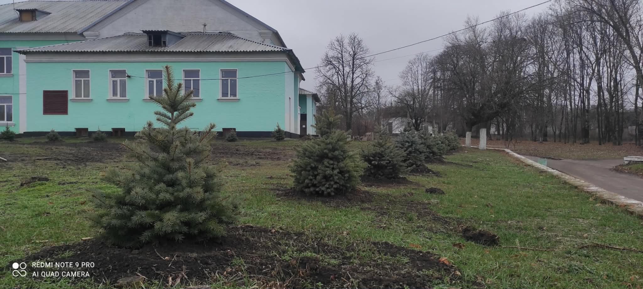 фото Алея героїв 3 (2).jpg