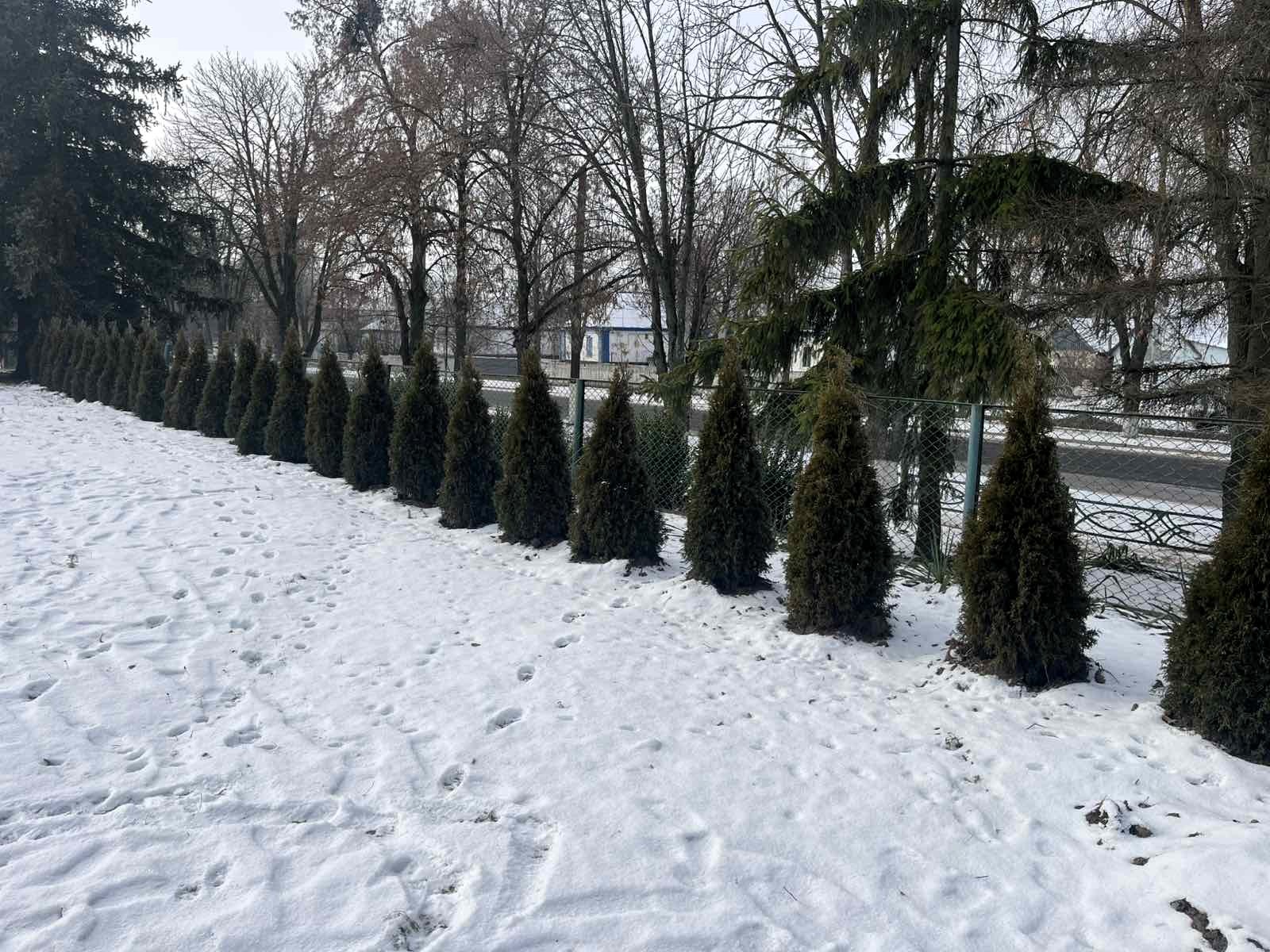 02 фото Оржиця.jpg