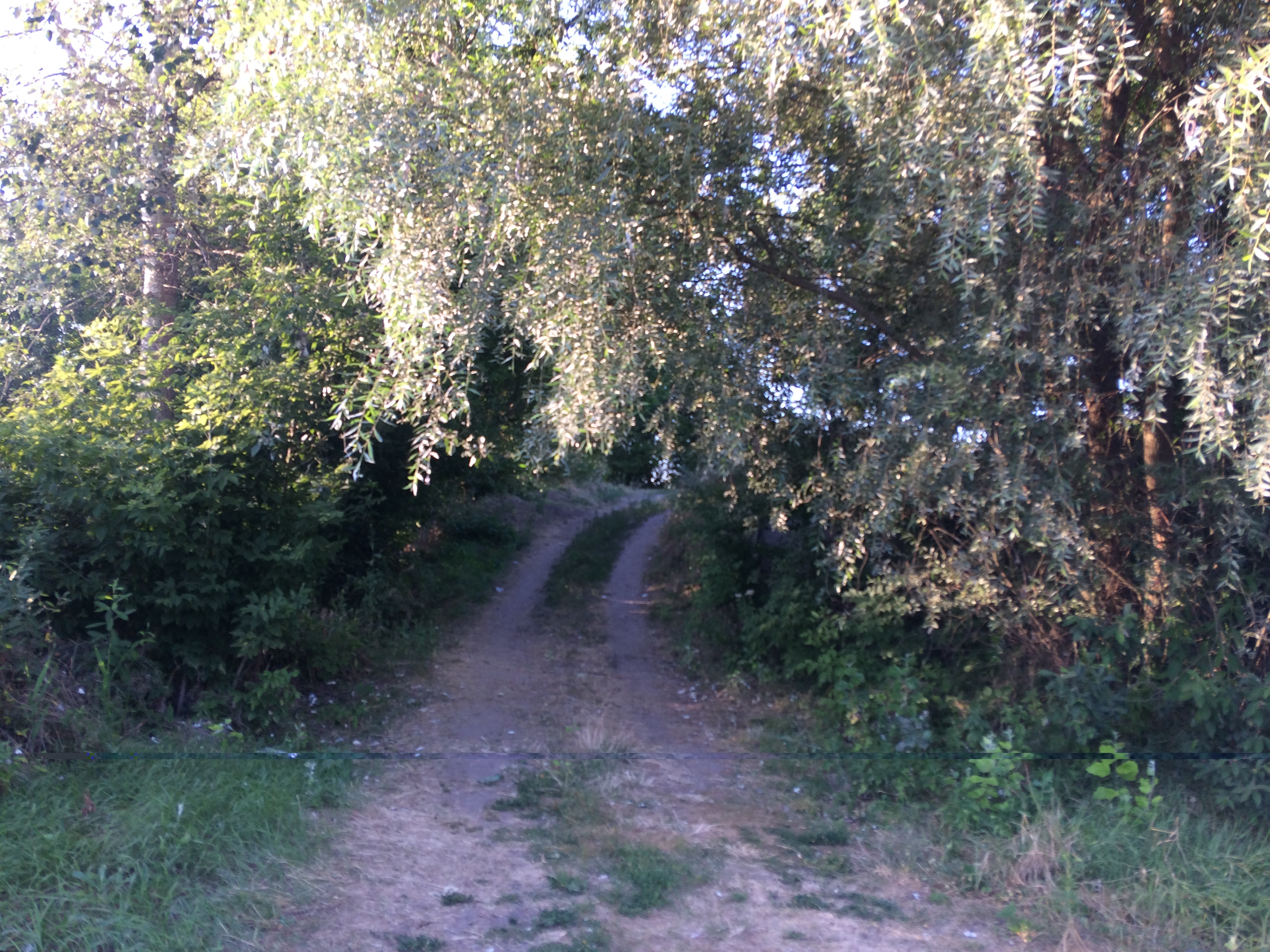IMG_1111.JPG IMG_1111.JPG