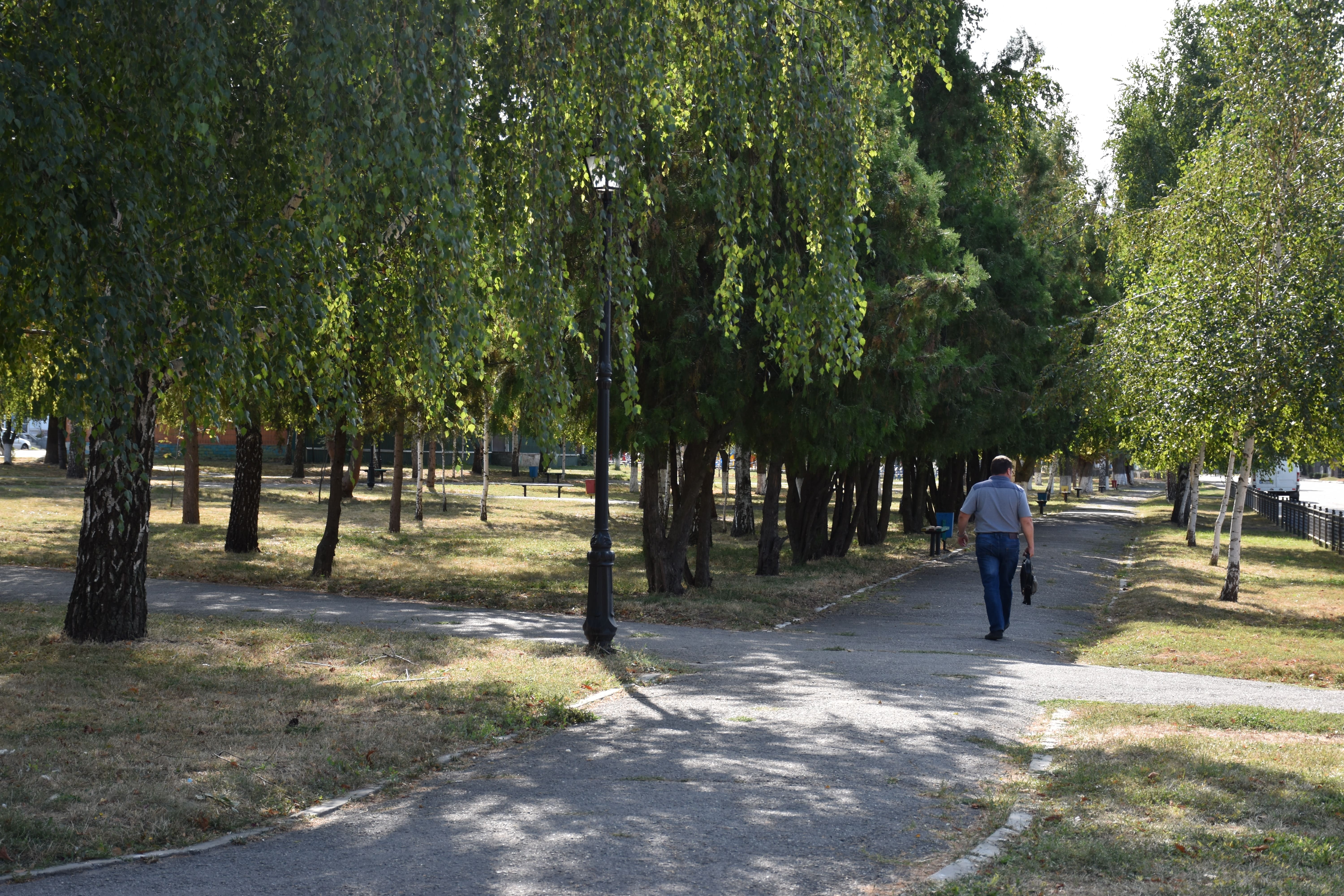 DSC_0265.jpg DSC_0265.jpg